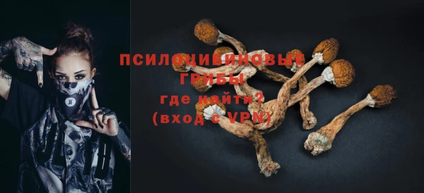 дживик Волоколамск