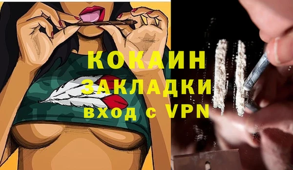 дживик Волоколамск