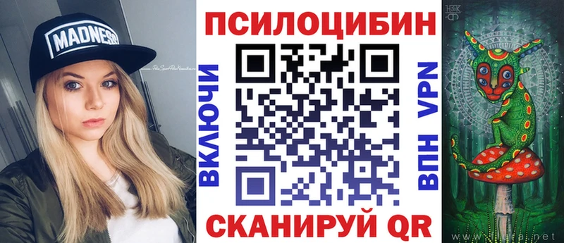 Галлюциногенные грибы Psilocybe  наркота  Канск 